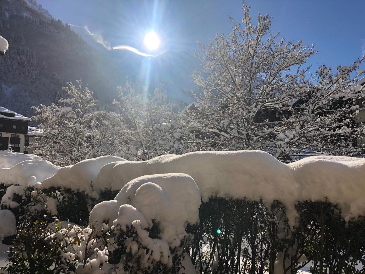 Apartament Chamonix 27 - Au Centre Vue Mont Blanc Et Jardin Zewnętrze zdjęcie
